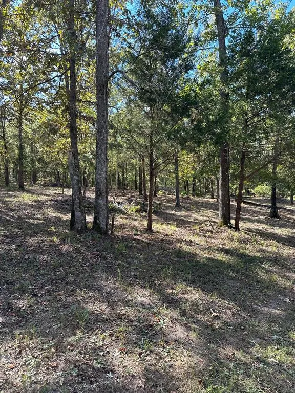 11420 County Road 420 Tyler, TX 75704