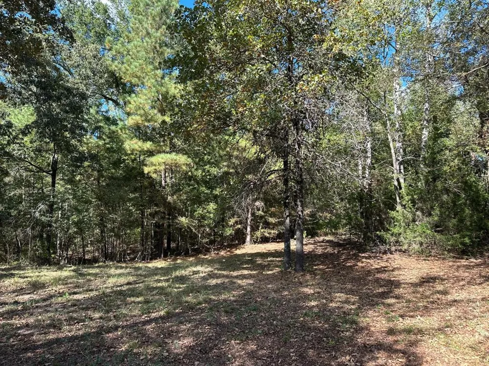 11420 County Road 420 Tyler, TX 75704