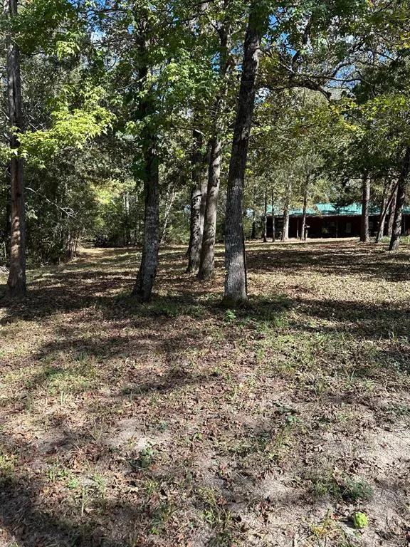 11420 County Road 420 Tyler, TX 75704