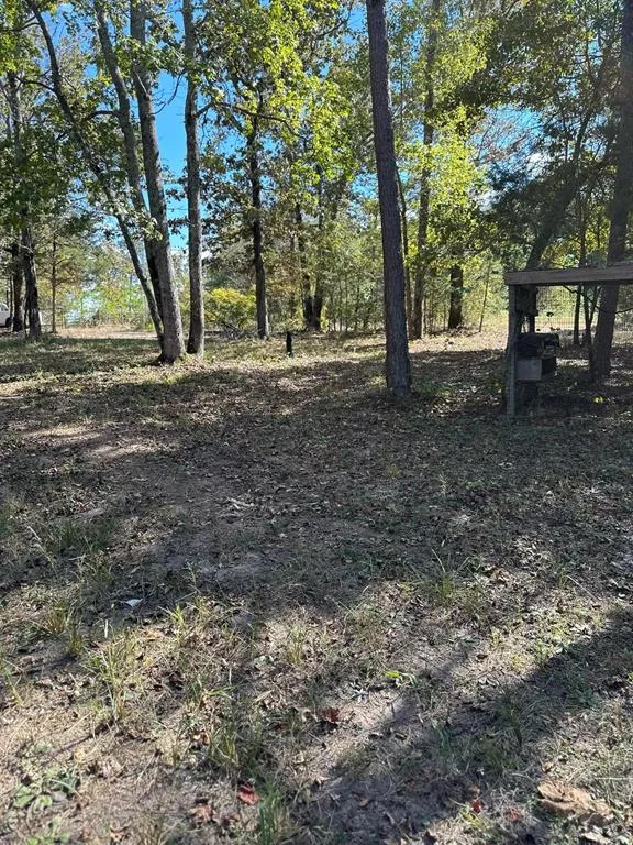 11420 County Road 420 Tyler, TX 75704