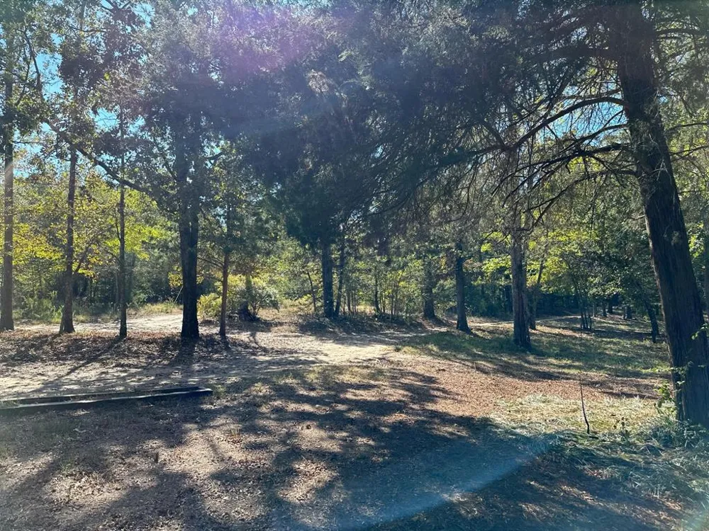 11420 County Road 420 Tyler, TX 75704