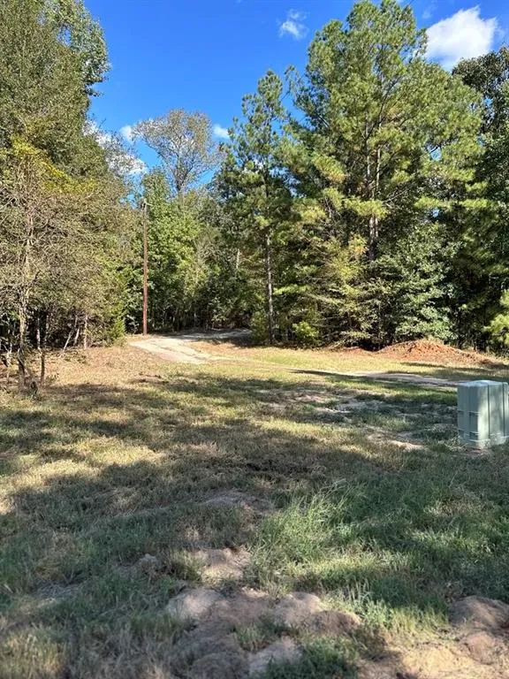 11420 County Road 420 Tyler, TX 75704