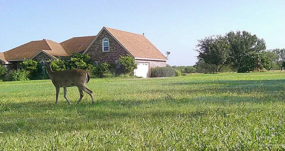 375 W CR 401 ROAD Falfurrias, TX 78355