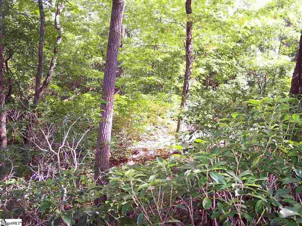 8 Woods Pond Cr Woods Pond Court Cleveland, SC 29635