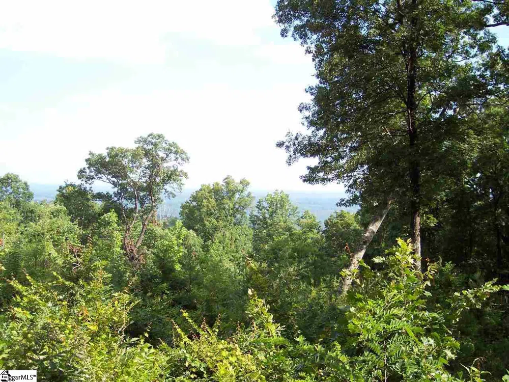 8 Woods Pond Cr Woods Pond Court Cleveland, SC 29635
