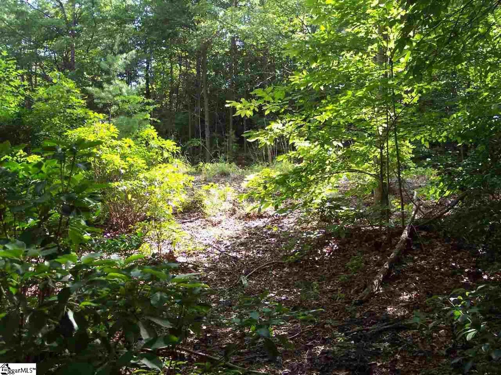 8 Woods Pond Cr Woods Pond Court Cleveland, SC 29635