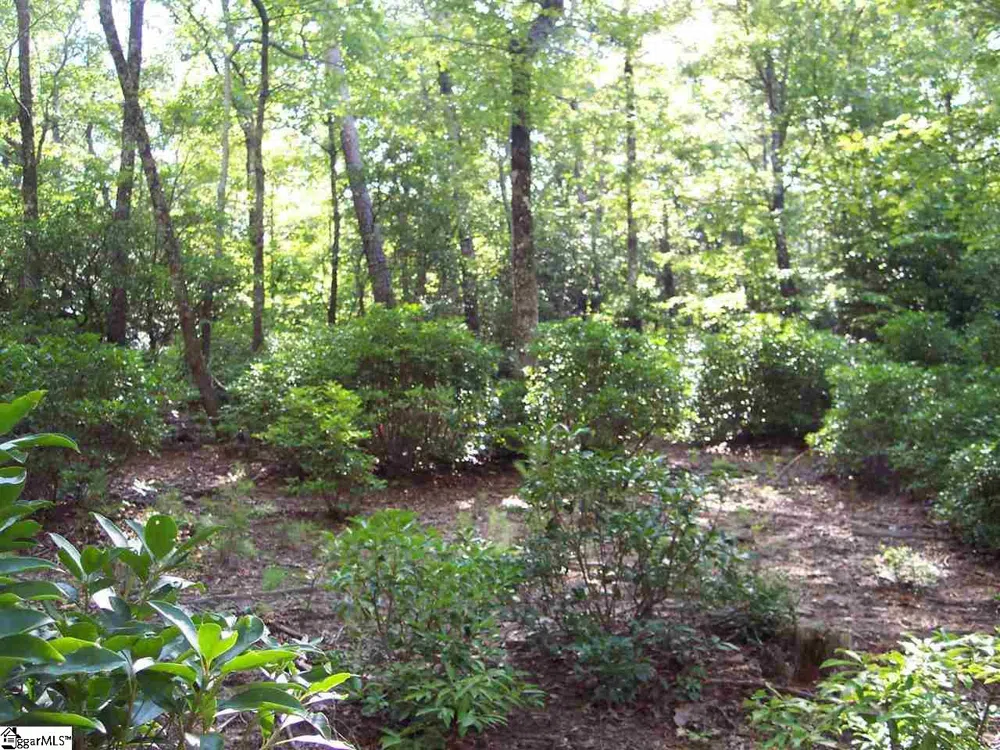 8 Woods Pond Cr Woods Pond Court Cleveland, SC 29635