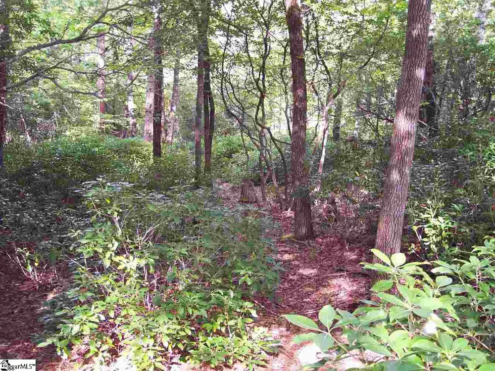 8 Woods Pond Cr Woods Pond Court Cleveland, SC 29635