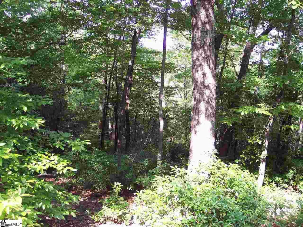 8 Woods Pond Cr Woods Pond Court Cleveland, SC 29635