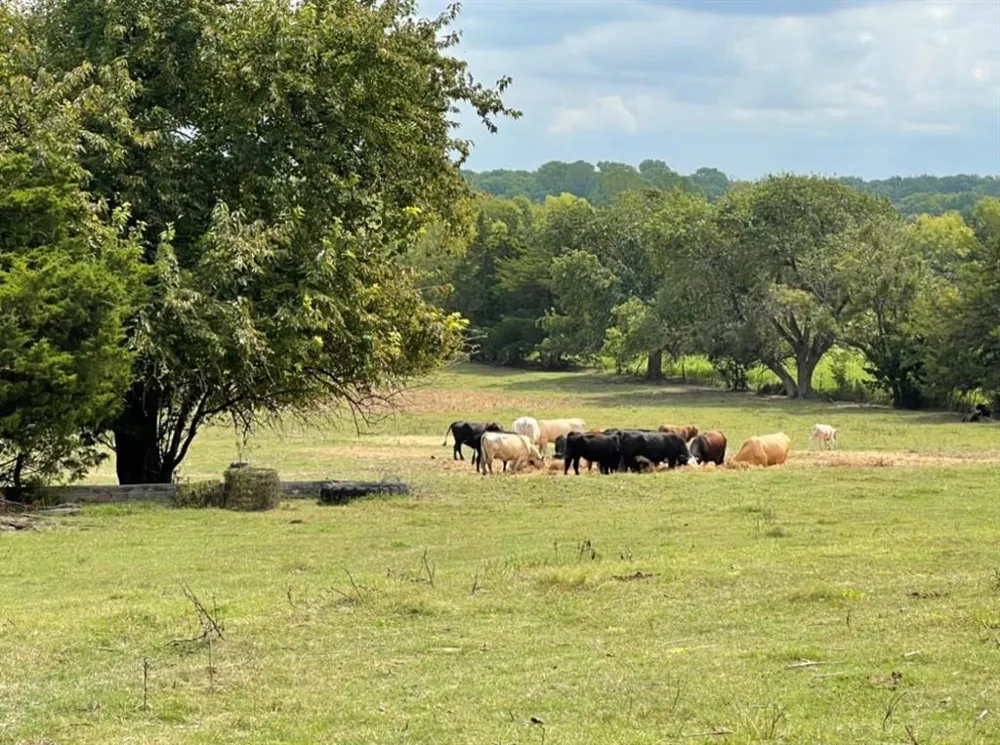 520 Cates Road Van Alstyne, TX 75495