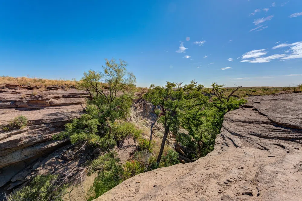 325 Sand Creek Southland, TX 79364