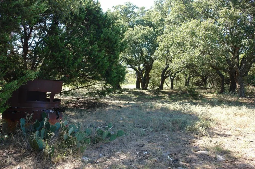 131 County Road 317 Goldthwaite, TX 76844