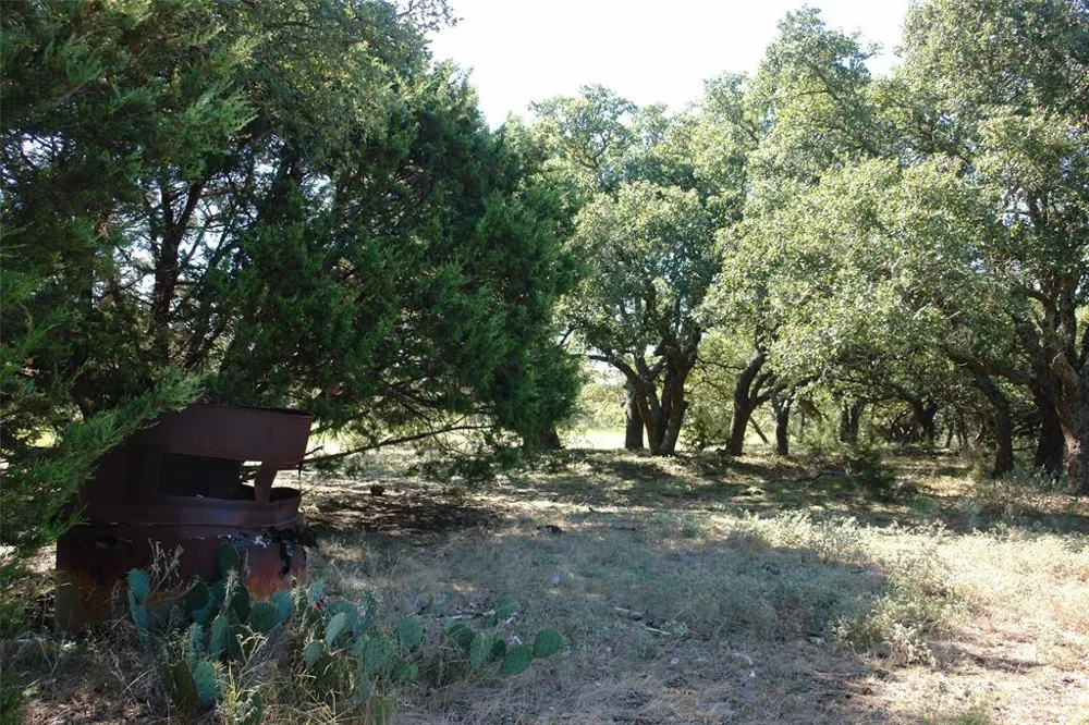 131 County Road 317 Goldthwaite, TX 76844