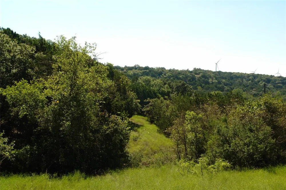 131 County Road 317 Goldthwaite, TX 76844