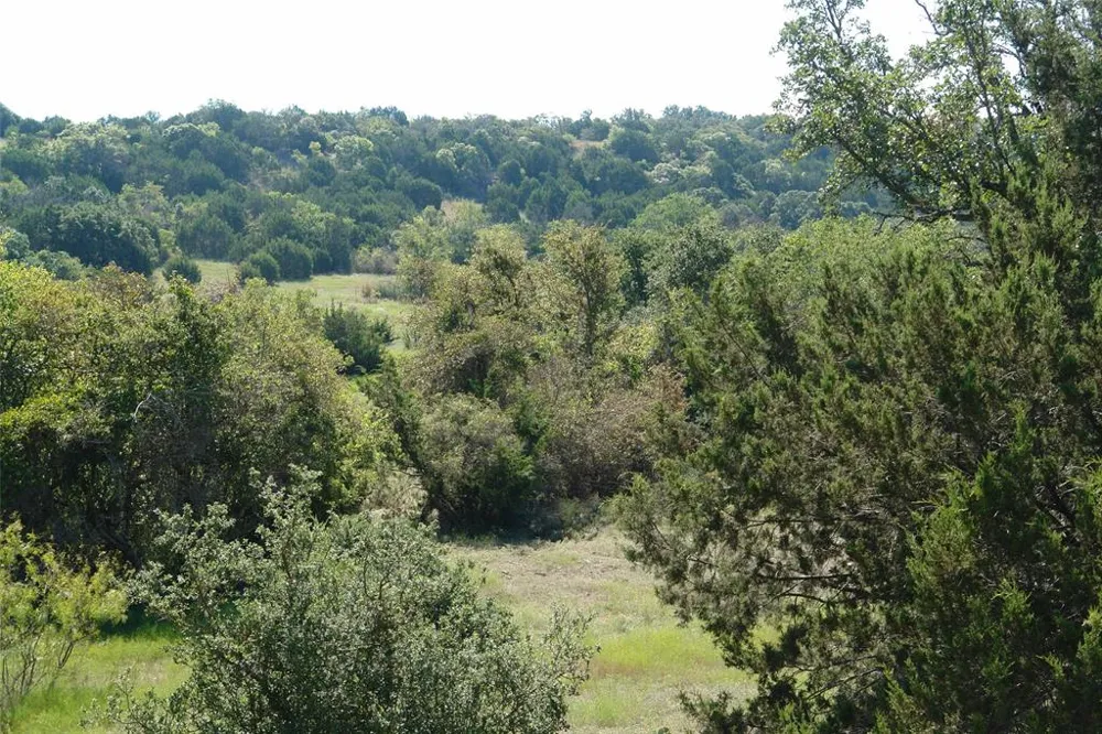 131 County Road 317 Goldthwaite, TX 76844