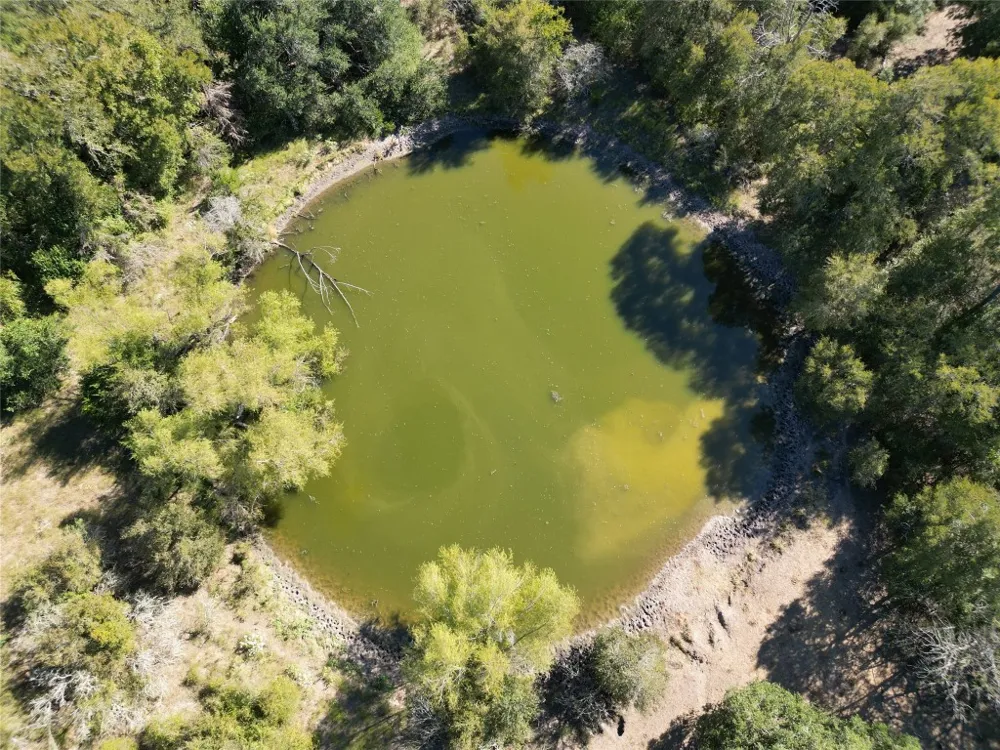 Fm-155 La Grange, TX 78945