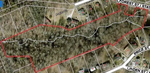 7+/- Acres Forest Street