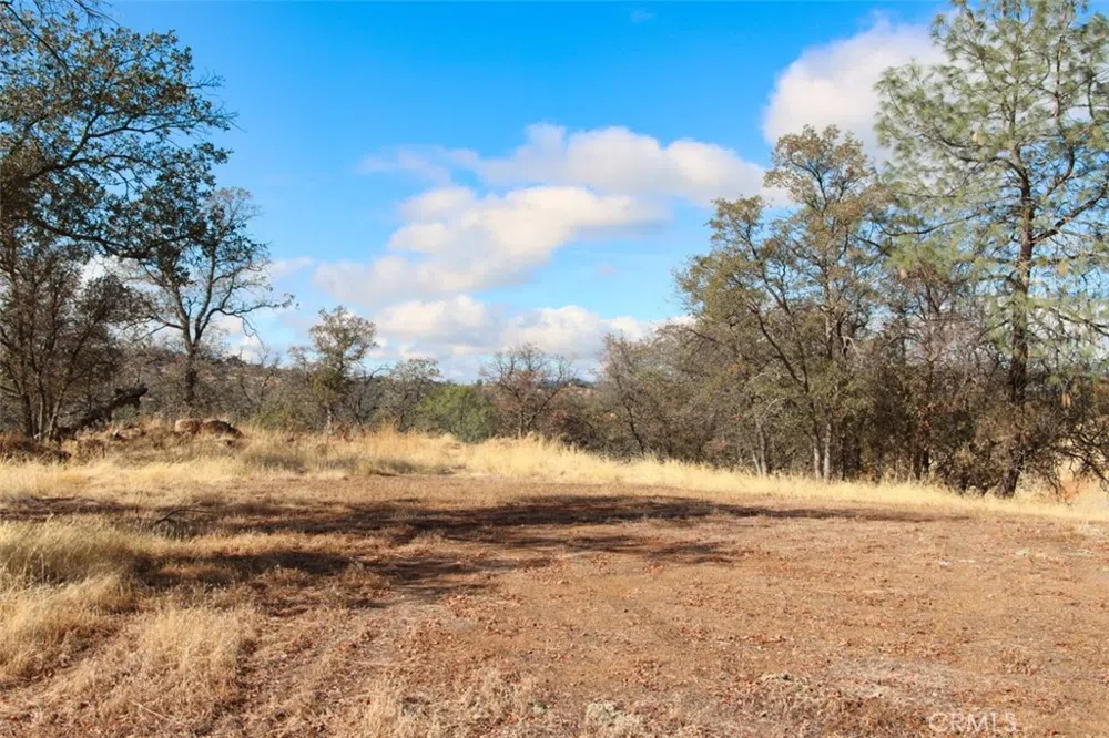 Road 400 Coarsegold, CA 93614