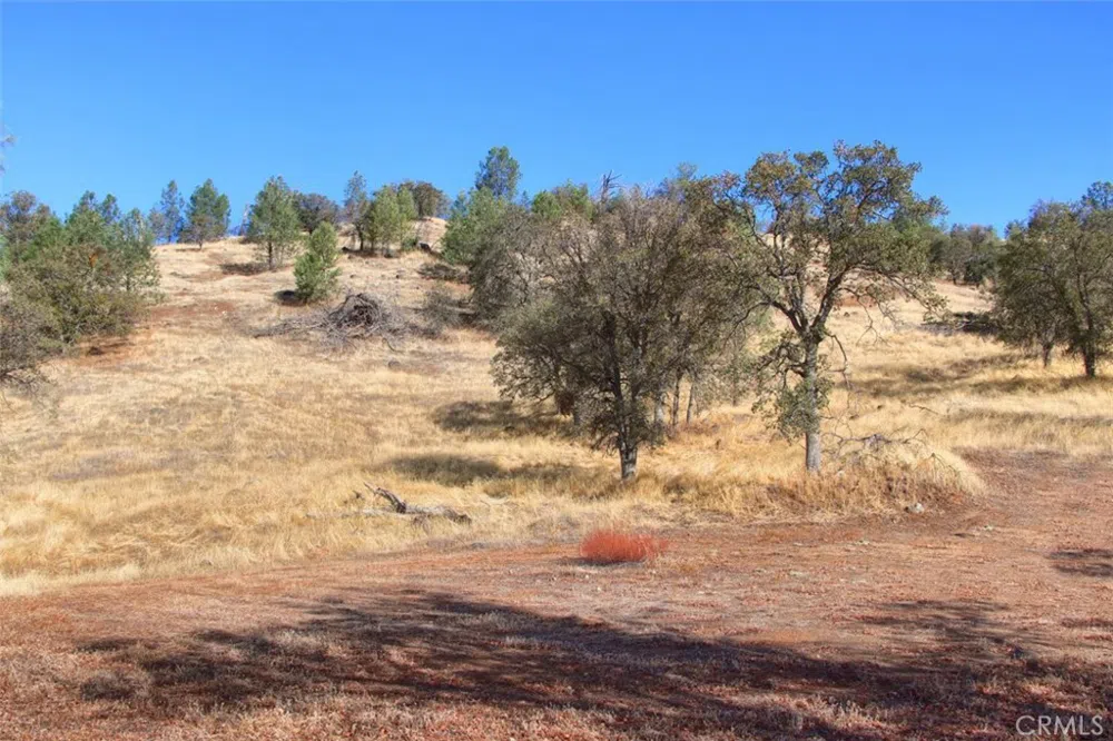 Road 400 Coarsegold, CA 93614