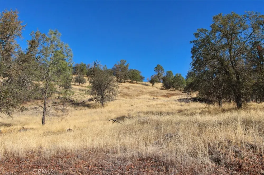 Road 400 Coarsegold, CA 93614