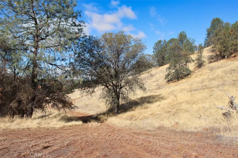 Road 400 Coarsegold, CA 93614