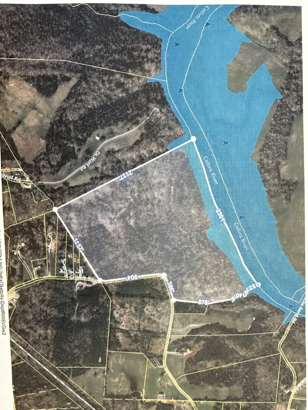 0 R Gribble Rd Mc Minnville, TN 37110