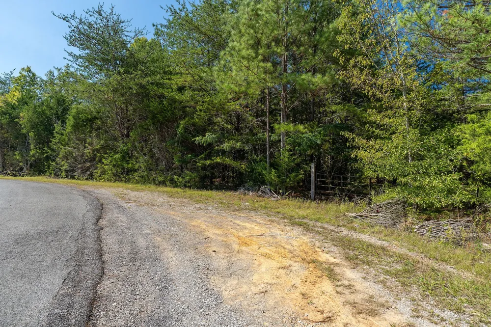0 R Gribble Rd Mc Minnville, TN 37110