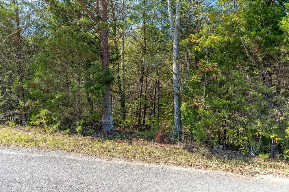 0 R Gribble Rd Mc Minnville, TN 37110