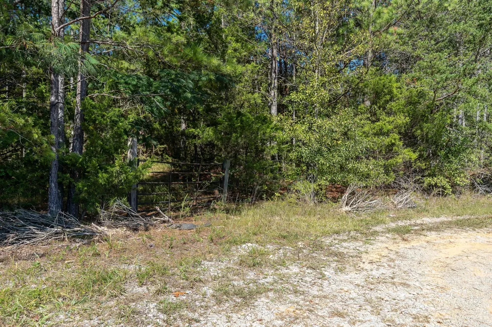 0 R Gribble Rd Mc Minnville, TN 37110