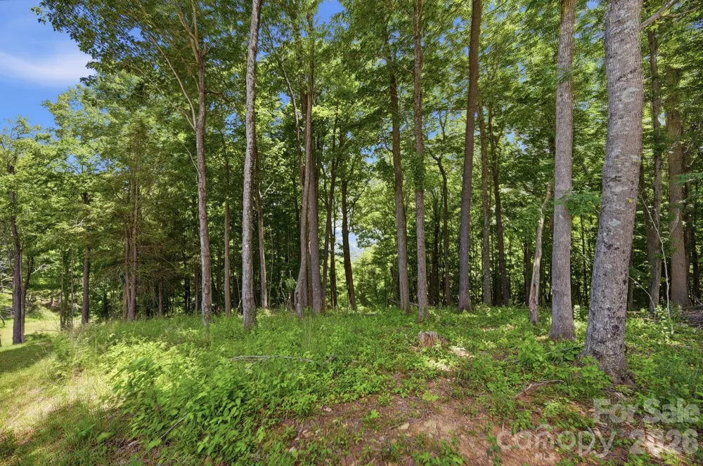 Lot 64 Poplar Forest Drive Boone, NC 28607