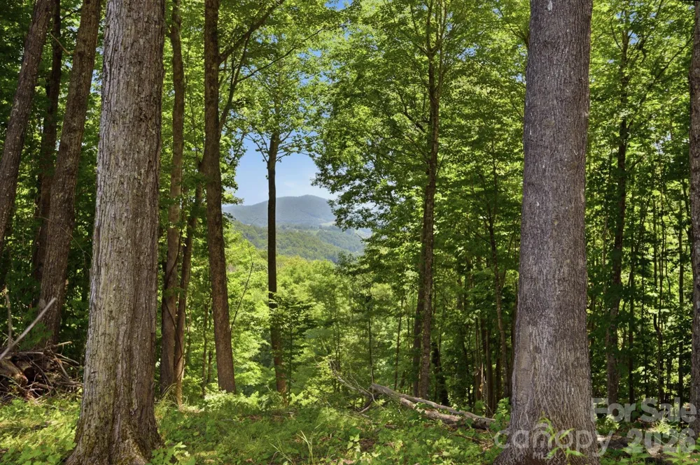 Lot 64 Poplar Forest Drive Boone, NC 28607