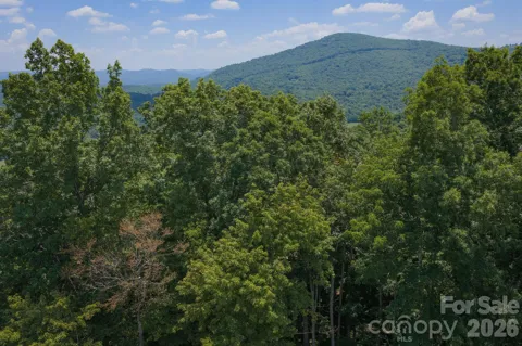 Lot 64 Poplar Forest Drive