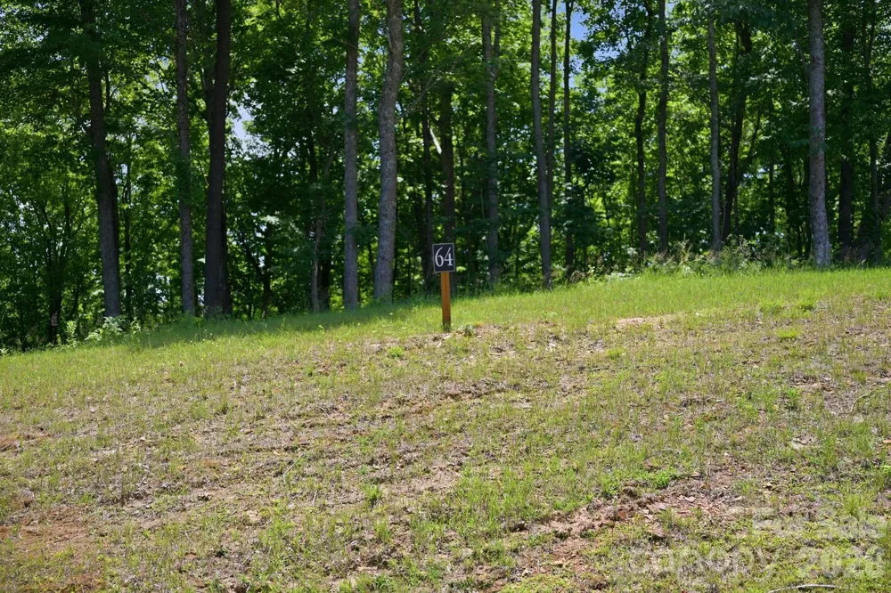 Lot 64 Poplar Forest Drive Boone, NC 28607