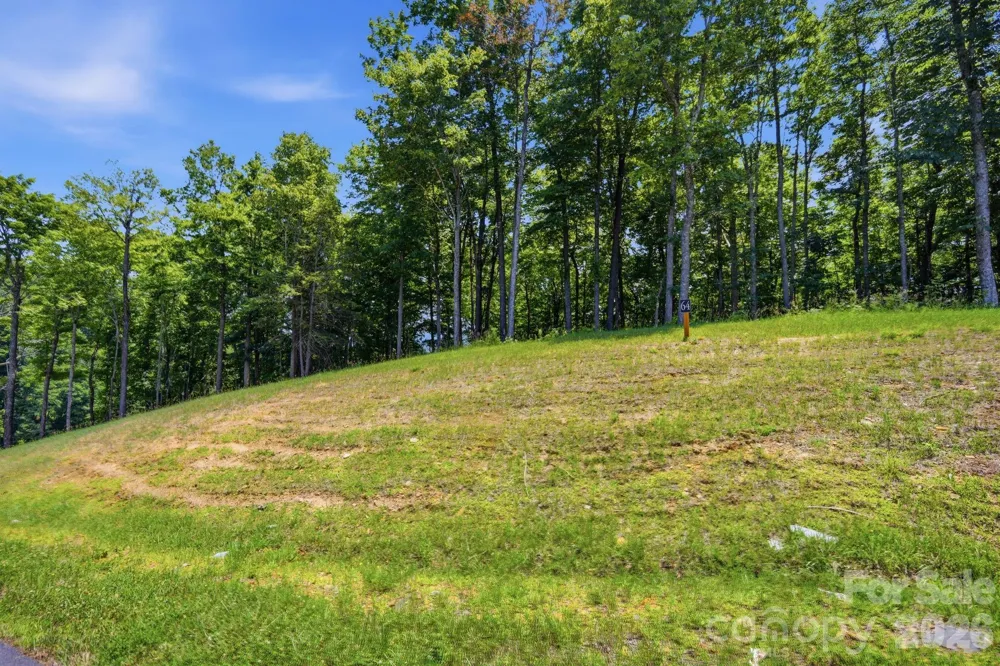 Lot 64 Poplar Forest Drive Boone, NC 28607