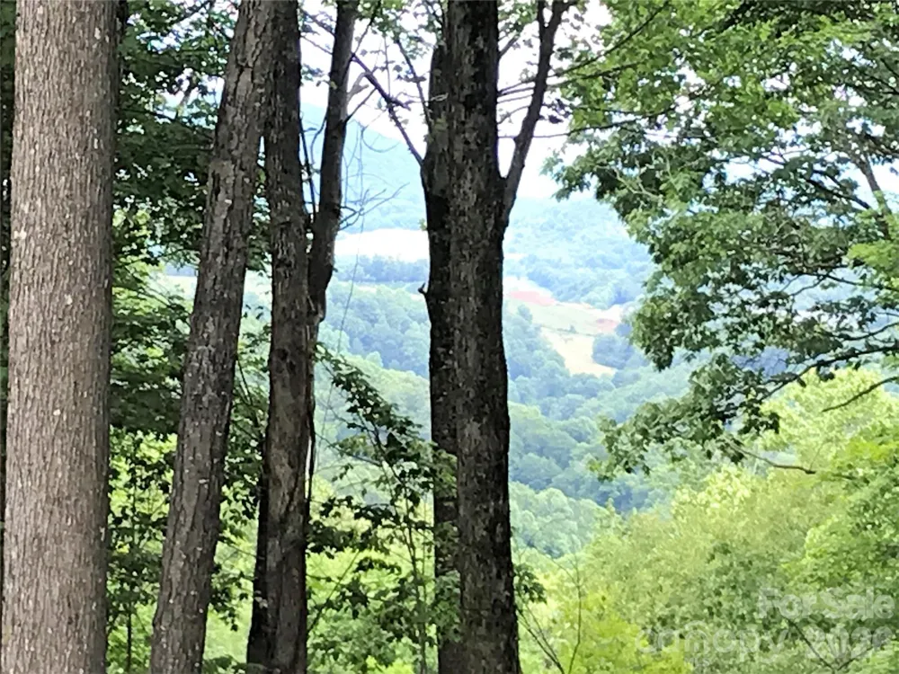 Lot 64 Poplar Forest Drive Boone, NC 28607