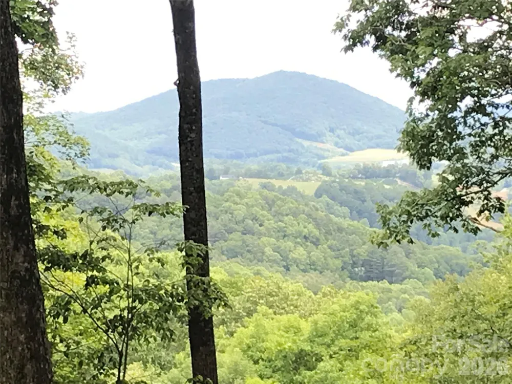 Lot 64 Poplar Forest Drive Boone, NC 28607