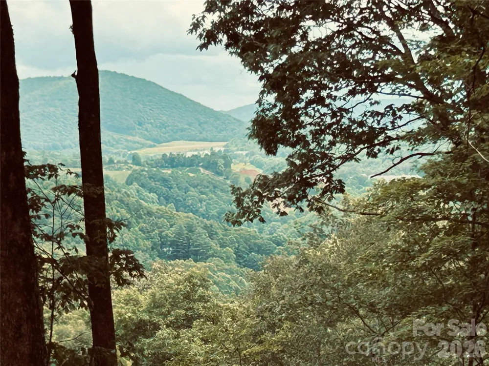 Lot 64 Poplar Forest Drive Boone, NC 28607