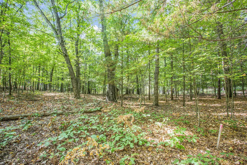 9425 Benjamin Drive Newaygo, MI 49337