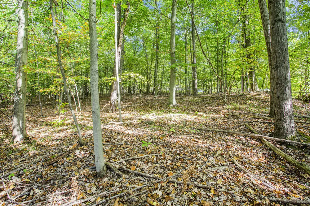 9425 Benjamin Drive Newaygo, MI 49337