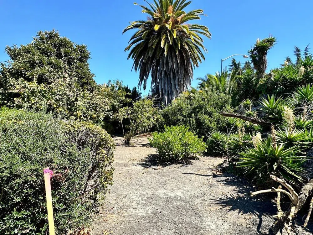 1077 Washington Street Mountain View, CA 94043