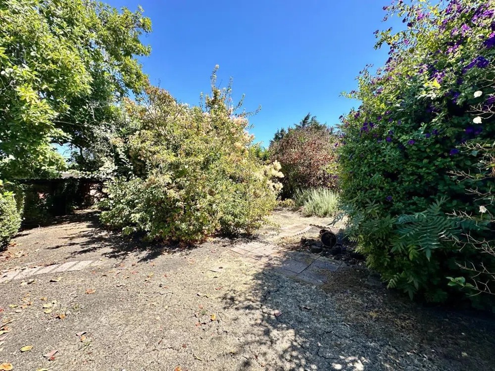 1077 Washington Street Mountain View, CA 94043
