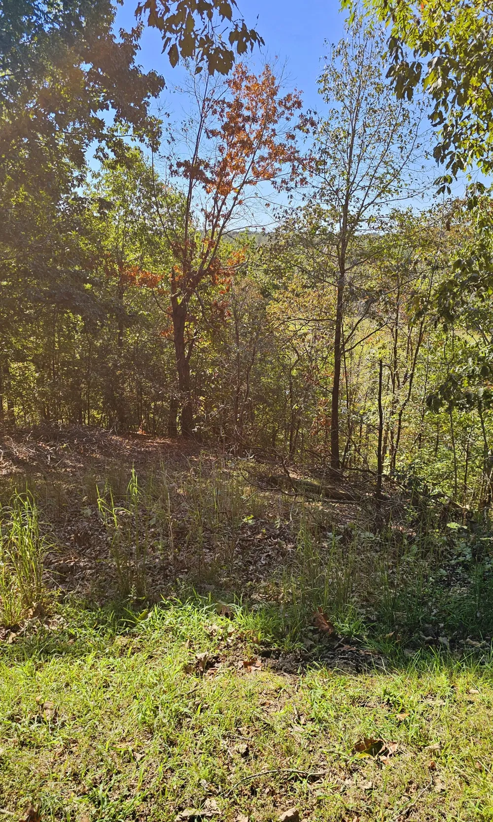 0 Big Richland Drive Waverly, TN 37185