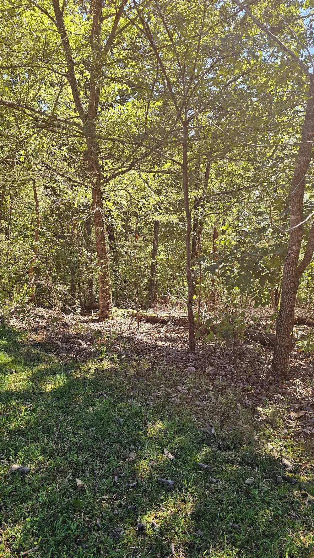 0 Big Richland Drive Waverly, TN 37185