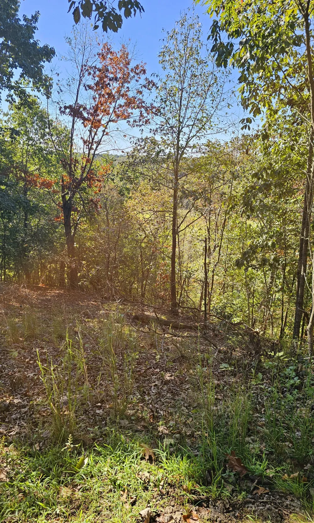 0 Big Richland Drive Waverly, TN 37185