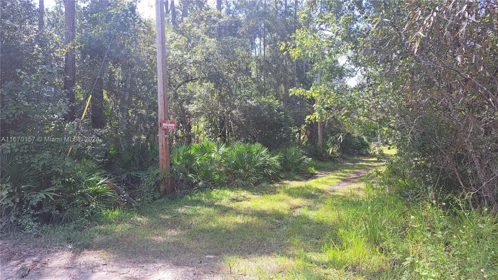 NE 42nd ST ocala, FL 34488