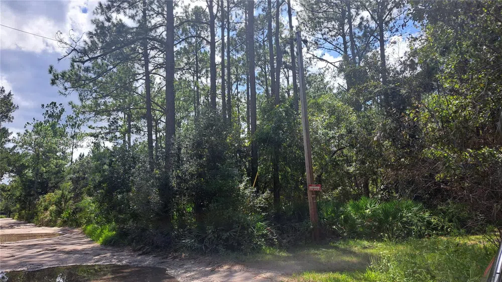NE 42nd ST ocala, FL 34488