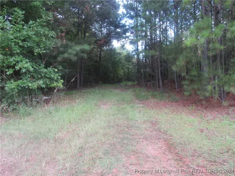 Boone Trail Road
