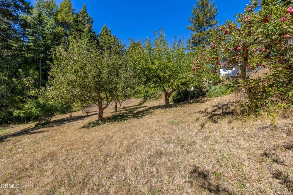 31026 Albion Ridge L Road Albion, CA 95410