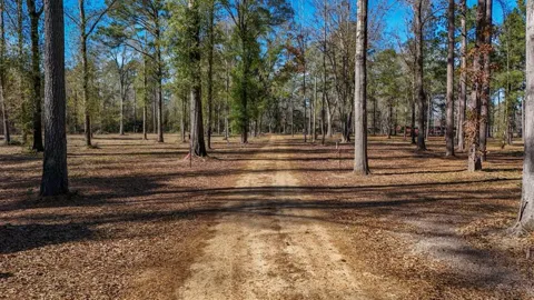 County Road 3545