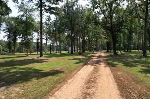 County Road 3545